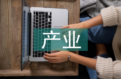產業經濟學畢業論文