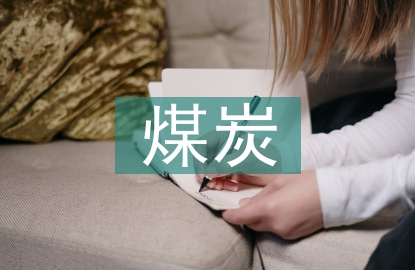 煤炭企業(yè)會(huì)計(jì)集中核算研究