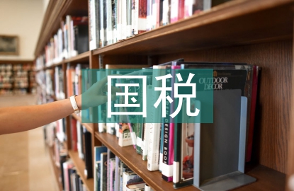 國稅辦公室工作總結