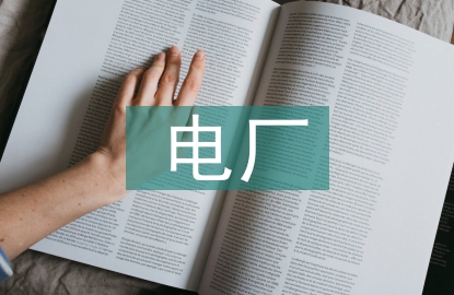 電廠建設(shè)項(xiàng)目采購管理及控制
