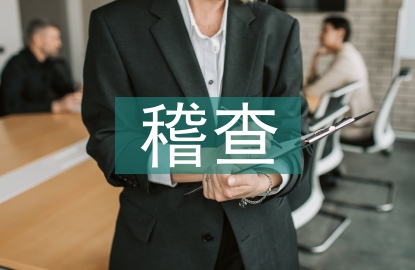 稽查工作要點(diǎn)