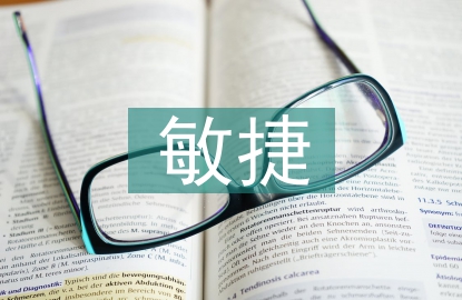 通用電氣公司敏捷開發管理研究