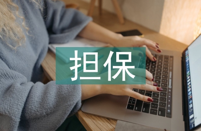 擔保風控部季度總結