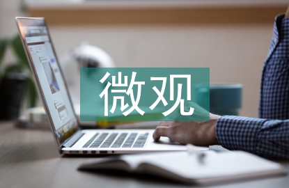 微觀經(jīng)濟(jì)學(xué)論文