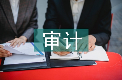 國有企業(yè)經(jīng)濟效益審計