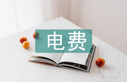 電費(fèi)管理論文