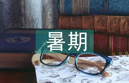 暑期大公司實習報告