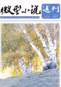 微型小說(shuō)選刊雜志社